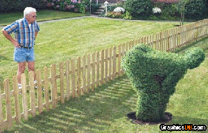 creative_gardening.gif
